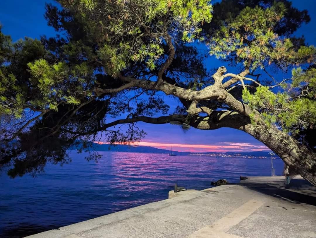 Apartment Fancy Malinska Εξωτερικό φωτογραφία